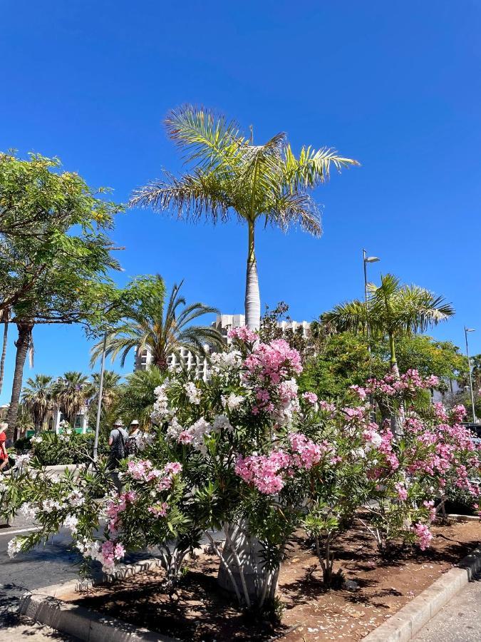 El Dorado Estrella Apartman Playa de las Américas Kültér fotó